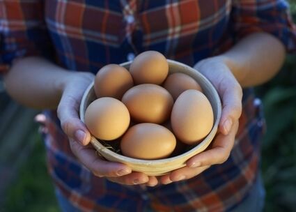 vištienos kiaušinių nauda